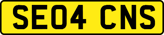SE04CNS