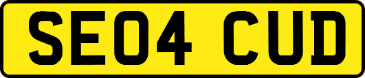 SE04CUD
