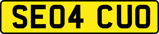 SE04CUO