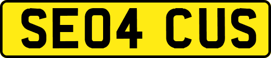 SE04CUS