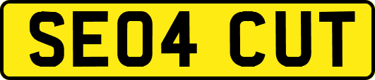SE04CUT