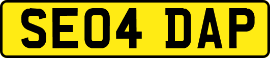 SE04DAP