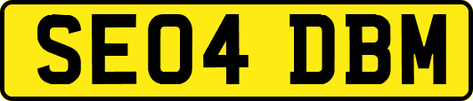 SE04DBM