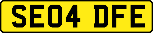 SE04DFE