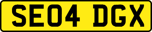 SE04DGX