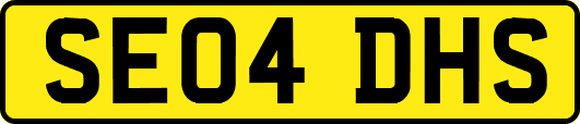 SE04DHS