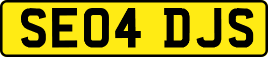 SE04DJS