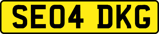 SE04DKG