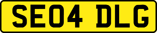 SE04DLG