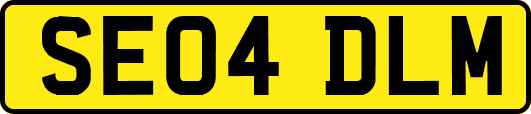 SE04DLM