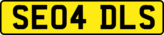SE04DLS