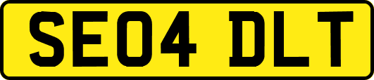 SE04DLT