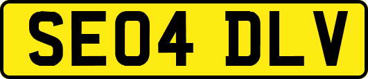 SE04DLV