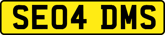 SE04DMS