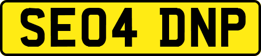 SE04DNP