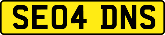 SE04DNS