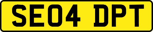 SE04DPT