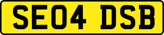 SE04DSB
