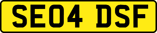 SE04DSF
