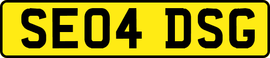 SE04DSG