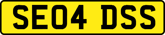 SE04DSS