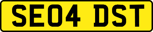 SE04DST