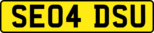 SE04DSU