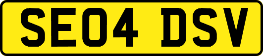 SE04DSV
