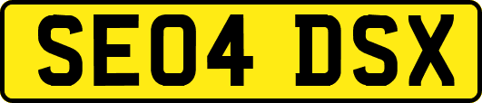 SE04DSX