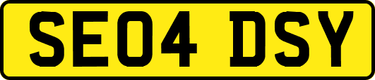 SE04DSY