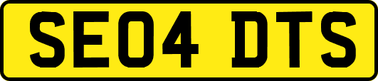 SE04DTS