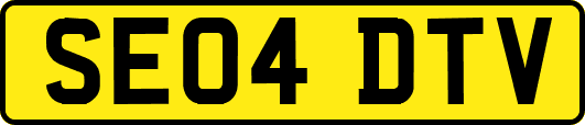 SE04DTV