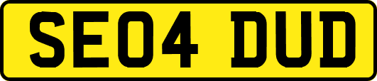 SE04DUD