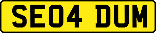 SE04DUM