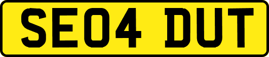 SE04DUT