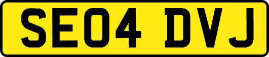 SE04DVJ