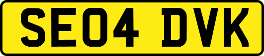 SE04DVK