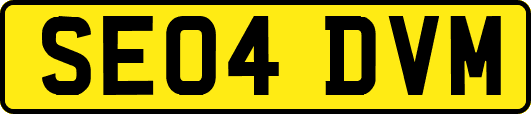 SE04DVM