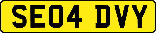 SE04DVY