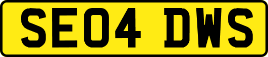 SE04DWS