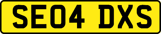 SE04DXS