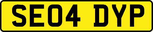 SE04DYP