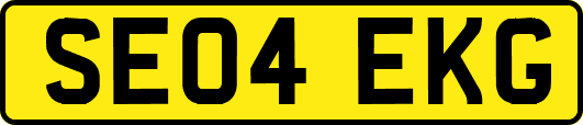 SE04EKG