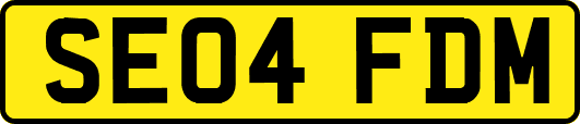 SE04FDM