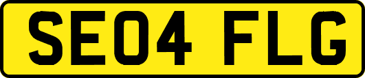 SE04FLG