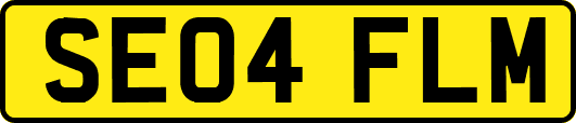 SE04FLM