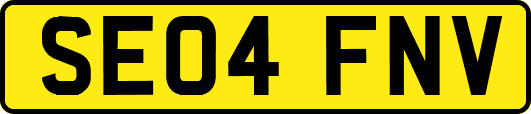 SE04FNV