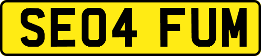 SE04FUM