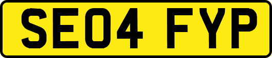 SE04FYP