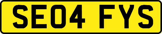 SE04FYS